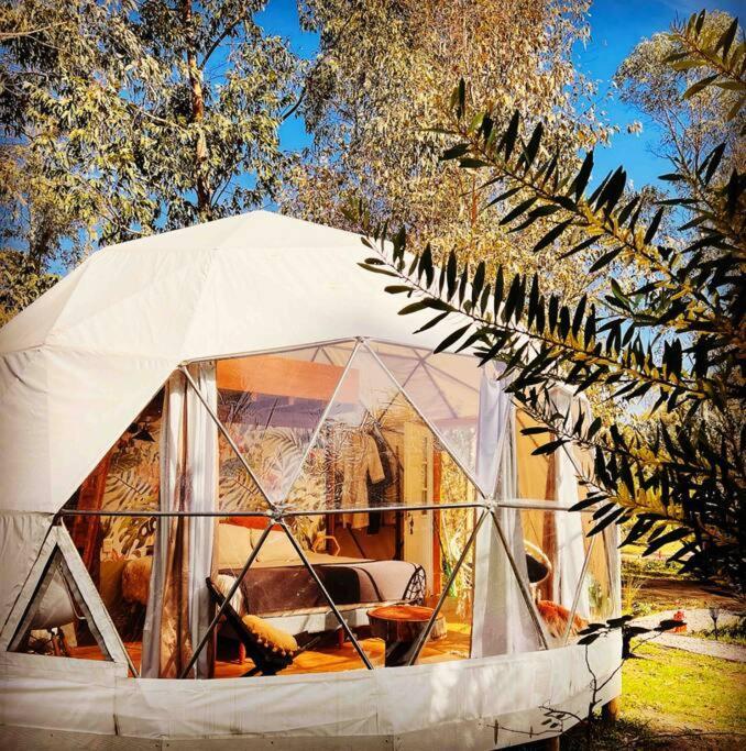 Magia Ecolodges, Glamping Punta Colorada Luaran gambar