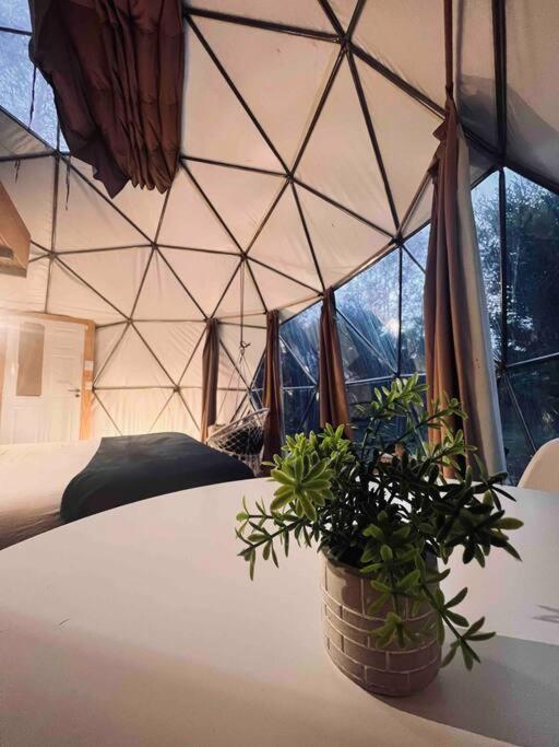 Magia Ecolodges, Glamping Punta Colorada Luaran gambar