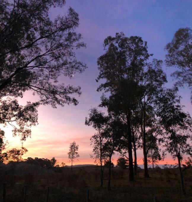 Magia Ecolodges, Glamping Punta Colorada Luaran gambar
