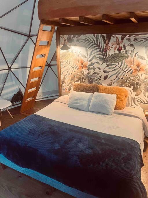 Magia Ecolodges, Glamping Punta Colorada Luaran gambar