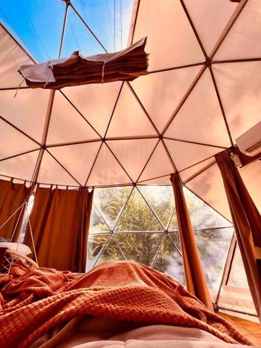 Magia Ecolodges, Glamping Punta Colorada Luaran gambar